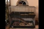 cavia- of konijnenflat, cavia hok, Dieren en Toebehoren, Knaagdieren en Konijnen | Hokken en Kooien, Rat, Kooi, 110 cm of meer