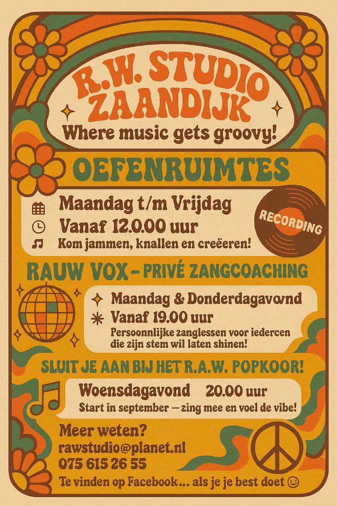 RAW STUDIO OEFENRUIMTES ZAANDIJK, Muziek en Instrumenten, Microfoons, Studiomicrofoon, Ophalen