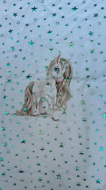 Inicorn french terry 3 luik paneel met foil sterren beschikbaar voor biedingen