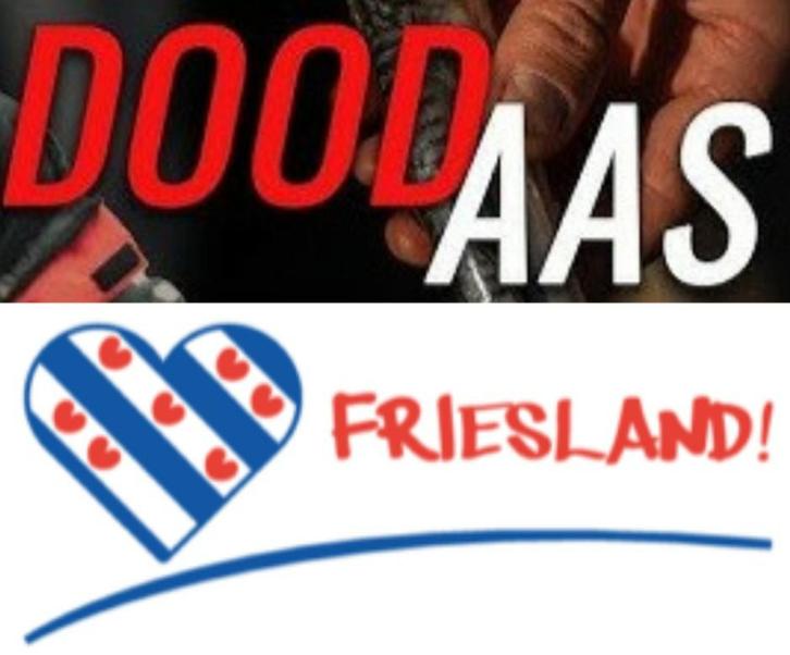 DOODAAS FRIESLAND -VOORNS/SPIERING/HORSMAKREEL/SARDINE/OLIE, Watersport en Boten, Hengelsport | Roofvissen, Nieuw, Overige typen