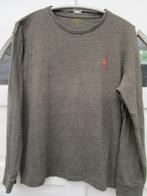 Ralph Lauren trui maat L, bruin/grijs, Ophalen, Zo goed als nieuw, Maat 52/54 (L), Ralph Lauren