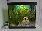Compleet aquarium  vissen  toebehoren superfish start 30 lt, Ophalen, Zo goed als nieuw, Gevuld zoetwateraquarium