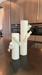 Vazen smal hoog met vogels, Huis en Inrichting, Woonaccessoires | Vazen, Ophalen, Overige kleuren, Minder dan 50 cm, Glas