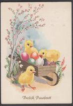Pase Vrolijk Paasfeest Kuikens  Eieren in Kruiwagen 1970, Verzamelen, Ansichtkaarten | Themakaarten, Gelopen, Feest(dag), 1960 tot 1980