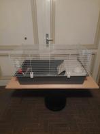 Konijnen/caviakooi/hok, 110 cm of meer, Cavia, Zo goed als nieuw, Hok