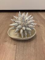 Leuke decoratie schelpen bal met schaaltje, Huis en Inrichting, Ophalen, Zo goed als nieuw