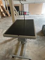 Trimtafel Hydraulisch 65 bij 95, Ophalen of Verzenden, Zo goed als nieuw