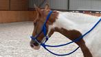 Touwhalster om mee te rijden, Dieren en Toebehoren, Ophalen of Verzenden, Zo goed als nieuw