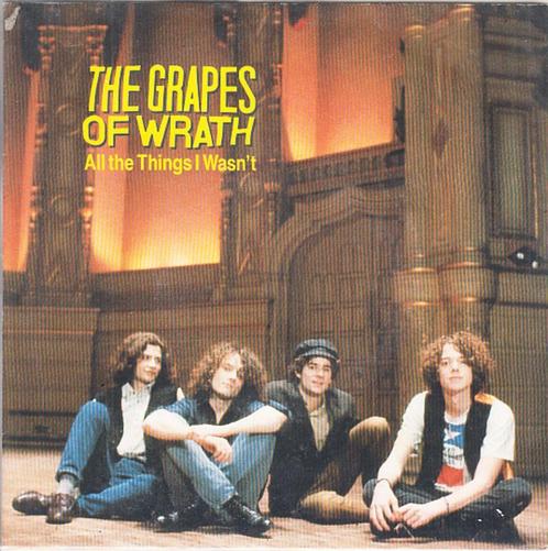 the grapes of wrath - all the things i wasn't  ( indie rock), Cd's en Dvd's, Vinyl Singles, Single, Rock en Metal, 7 inch, Ophalen of Verzenden