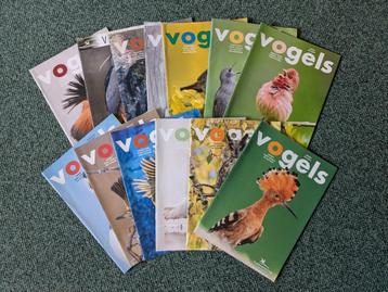 99x tijdschrift Vogels  beschikbaar voor biedingen