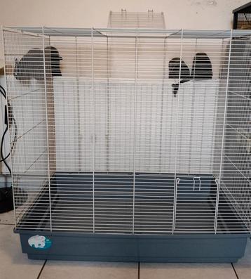 mega vogelkooi met toebehoren! maten 78 L x 49 B x  79 H beschikbaar voor biedingen