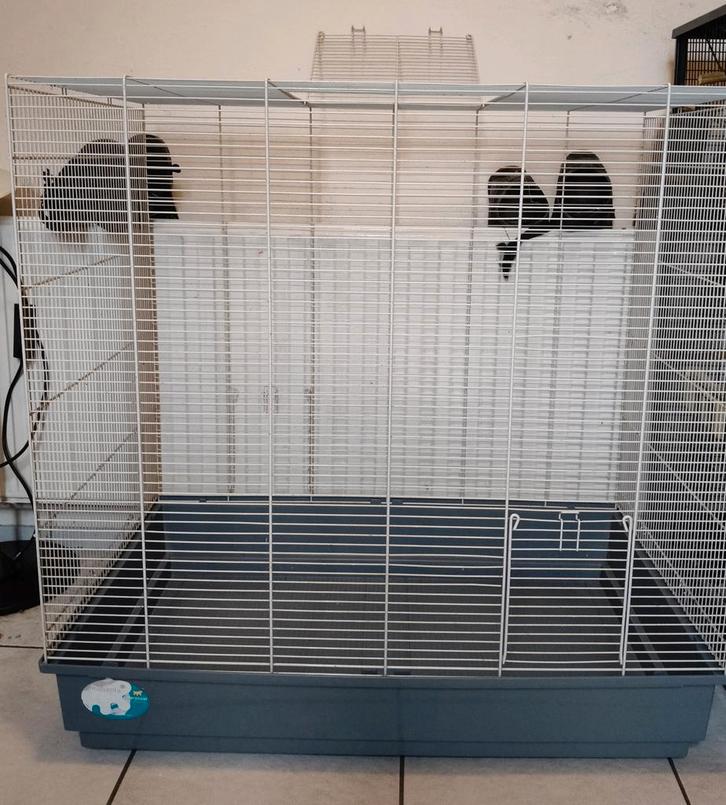 mega vogelkooi met toebehoren! maten 78 L x 49 B x  79 H, Dieren en Toebehoren, Vogels | Hokken en Kooien, Zo goed als nieuw, Vogelkooi