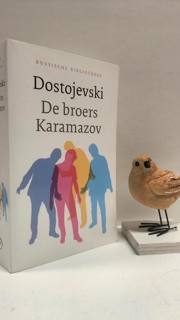 Dostojevski, De broers Karamazov, Boeken, Literatuur, Gelezen, Ophalen of Verzenden