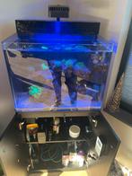 Zeewater Aquarium Compleet, Ophalen of Verzenden, Zo goed als nieuw, Leeg aquarium