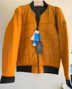 Timberland jas, maat M, met label, Ophalen of Verzenden, Nieuw, Maat 48/50 (M), Timberland