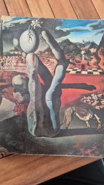 SALVODOR DALI  1970 BOEK MUSEUM BOYMANS V BEUNINGEN, Ophalen of Verzenden, Gelezen, Schilder- en Tekenkunst
