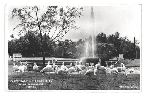 952533	Rhenen	Ouwehands Dierenpark	dierentuin Zoo	1942	Gelop, Verzamelen, Ansichtkaarten | Nederland, Gelopen, Ophalen of Verzenden