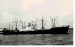 Belgisch vrachtschip Liege van Arnement Deppe S.A, Gebruikt, Kaart, Foto of Prent, Verzenden