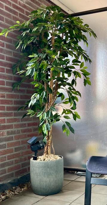 KUNST BOOM — Gave en Knappe Imitatie Plant  Boom beschikbaar voor biedingen