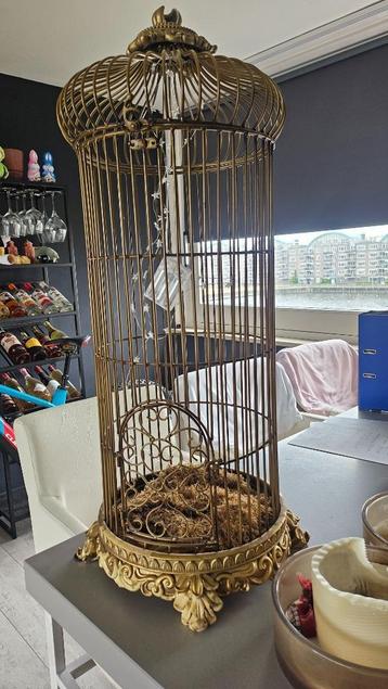 Schitterende vogelkooi beschikbaar voor biedingen