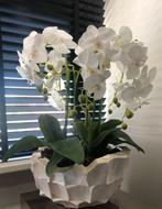 2x Schelpenvaas bowl - wit 40x24 cm met orchideeën, Ophalen of Verzenden, Zo goed als nieuw