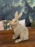 Gouden Konijn Spaarpot - Decoratief & Functioneel, Ophalen of Verzenden, Zo goed als nieuw, Kunststof, Dier
