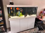 Juwel Rio 450 inclusief grote discusvissen, Dieren en Toebehoren, Vissen | Aquaria en Toebehoren, Ophalen, Zo goed als nieuw, Gevuld zoetwateraquarium