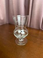 Kristalglas Douglas Scotch Ale, Ophalen of Verzenden, Zo goed als nieuw, Bierglas