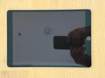 iPad Pro 10,5 inch 256 GB space grey beschikbaar voor biedingen