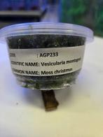 mos, Overige typen, Zoetwatervis