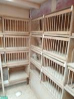 Broedhokken, Dieren en Toebehoren, Vogels | Duiven, Postduif