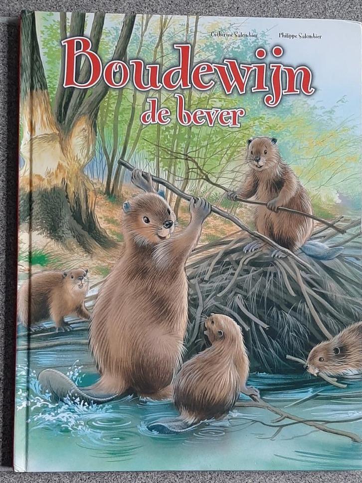 Boudewijn de Bever - Catherine Salembier, Boeken, Kinderboeken | Kleuters, Zo goed als nieuw, Fictie algemeen, Ophalen of Verzenden