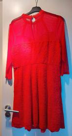 Knal rode party dtess , kant, Ophalen of Verzenden, Zo goed als nieuw, Maat 42/44 (L), Rood