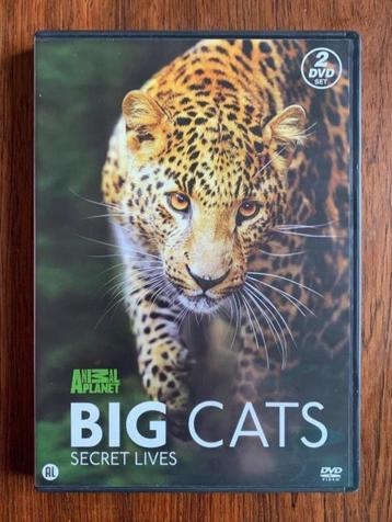 2-DVD set Animal Planet; Big Cats, Secret lives