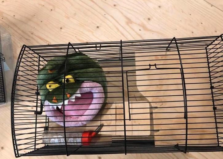 Hamsterkooi Flamingo Vitru, Dieren en Toebehoren, Knaagdieren en Konijnen | Hokken en Kooien, Zo goed als nieuw, Kooi, Minder dan 60 cm