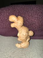 Gember donald eend, Verzenden