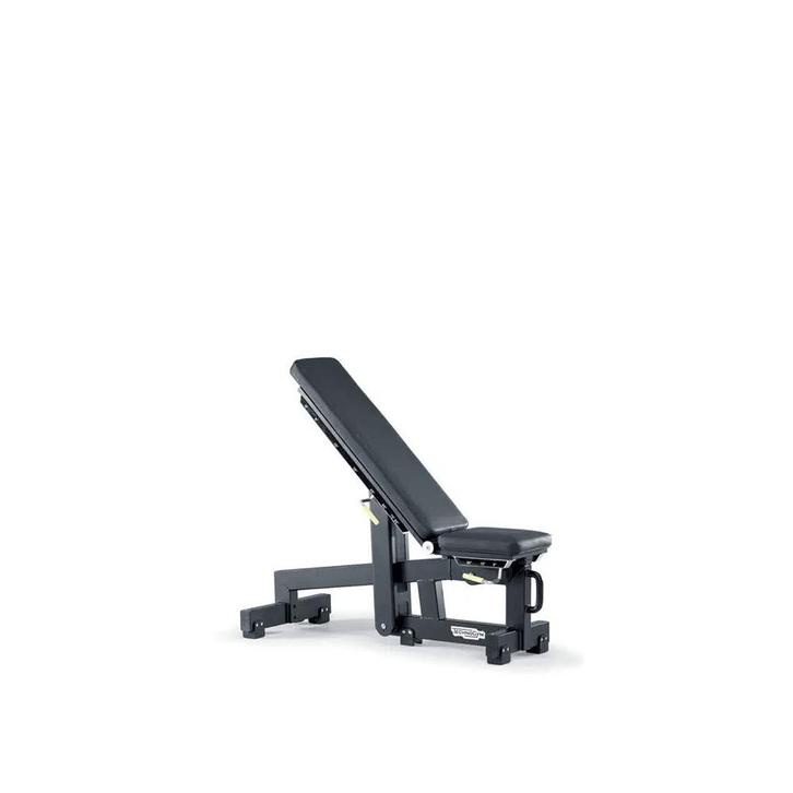 Technogym - Pure Strength - Adjustable Bench, Sport en Fitness, Fitnessmaterialen, Zo goed als nieuw, Fitnessbank, Armen, Benen