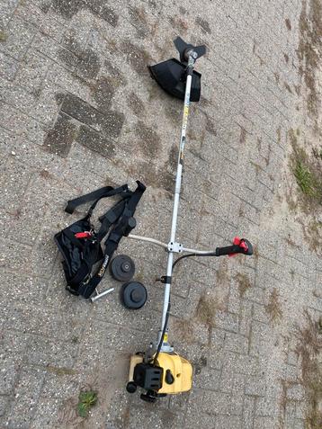 Bosmaaier beschikbaar voor biedingen