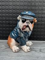 bulldog zittend 22hoog 20breed/Nieuw!, Verzamelen, Beelden en Beeldjes, Ophalen of Verzenden, Nieuw