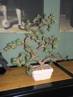 mooie bonsai, 50 cm h, Huis en Inrichting, Ophalen, Zo goed als nieuw, Binnen