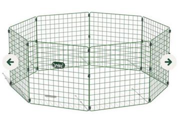 Zippi puppy ren beschikbaar voor biedingen