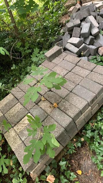 Betonnen straat klinkers beschikbaar voor biedingen