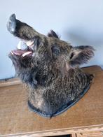 Opgezet everzwijn kop, Ophalen, Gebruikt, Wild dier, Gewei of Kop