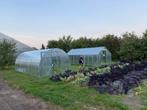 Tunnelkas, kas, tuinkas  EcoSlider ES. DHZ pakket 2,5x4m, Nieuw, Kweekkas, Polycarbonaat, Staal