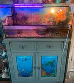 Muskusschildpadden (+terrarium&kast), Dieren en Toebehoren, Reptielen en Amfibieën | Toebehoren, Ophalen, Zo goed als nieuw, Terrarium of Paludarium