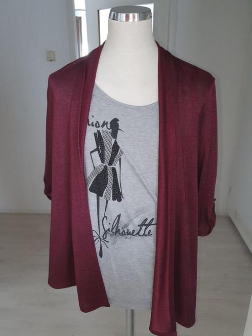 mooi shirt met vest maat XL   v15, Kleding | Dames, T-shirts, Gedragen, Maat 46/48 (XL) of groter, Lange mouw, Ophalen of Verzenden