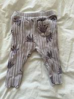 Zara broekje paars maat 80, Kinderen en Baby's, Babykleding | Maat 80, Broekje, Meisje, Ophalen of Verzenden, Zo goed als nieuw