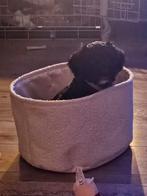 Pup 15 weken, Reu, 8 tot 15 weken, Eén hond, Middel