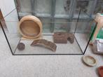 Hamster kooi terrarium glas, Kooi, Minder dan 75 cm, Zo goed als nieuw, Ophalen