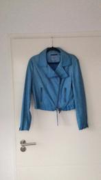 Josephine &Co blauw jasje maat 42, Kleding | Dames, Ophalen of Verzenden, Zo goed als nieuw, Maat 42/44 (L), Blauw